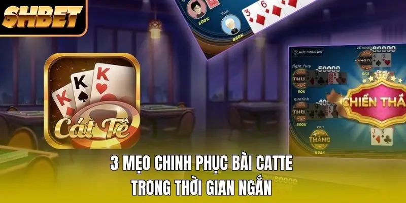 3 mẹo chinh phục bài catte trong thời gian ngắn