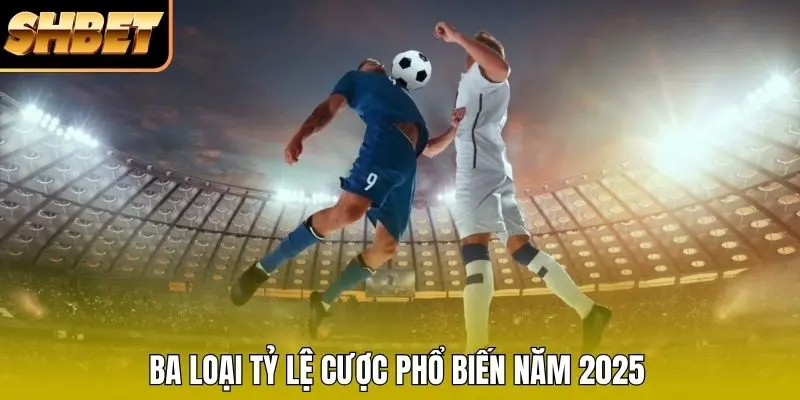 Ba loại tỷ lệ cược phổ biến năm 2026