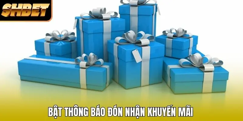 Bật thông báo đón nhận khuyến mãi