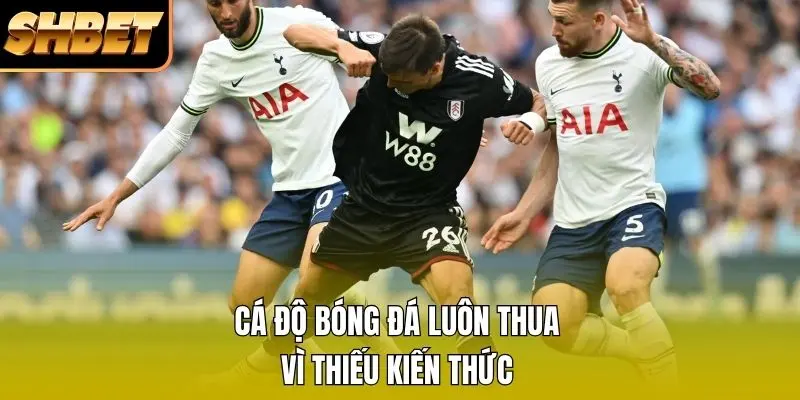 Cá độ bóng đá luôn thua vì thiếu kiến thức