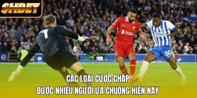 Các loại cược chấp được nhiều người ưa chuộng hiện nay