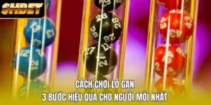 Cách Chơi Lô Gan - 3 Bước Hiệu Quả Cho Người Mới Nhất