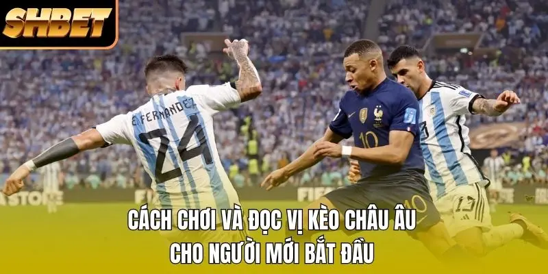 Cách chơi và đọc vị kèo Châu Âu cho người mới bắt đầu