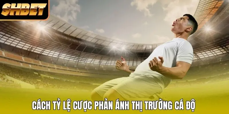 Cách tỷ lệ cược phản ánh thị trường cá độ