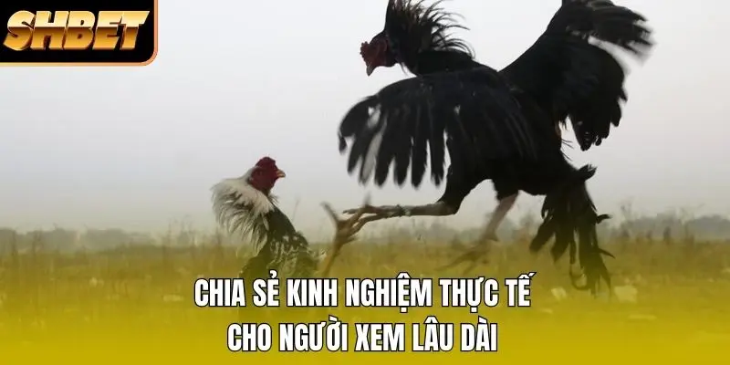 Chia sẻ kinh nghiệm thực tế cho người xem lâu dài