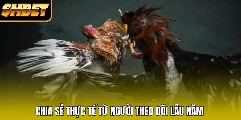 Chia sẻ thực tế từ người theo dõi lâu năm