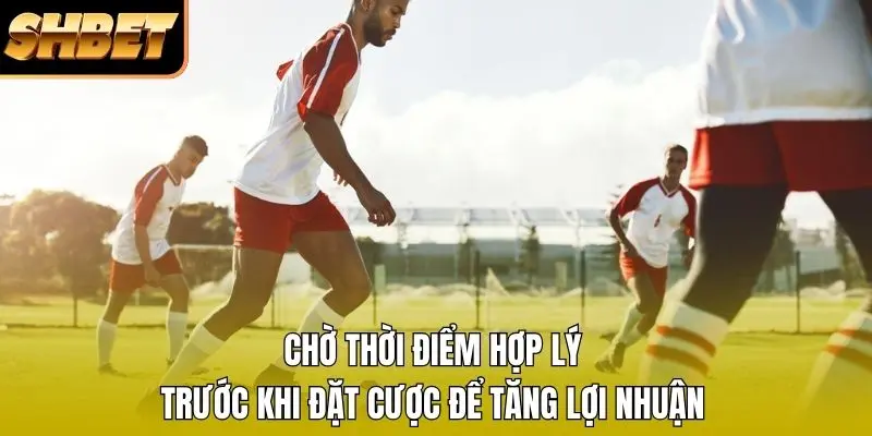 Chờ thời điểm hợp lý trước khi đặt cược để tăng lợi nhuận