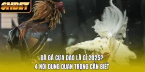 Đá Gà Cựa Dao Là Gì 2026? 4 Nội Dung Quan Trọng Cần Biết