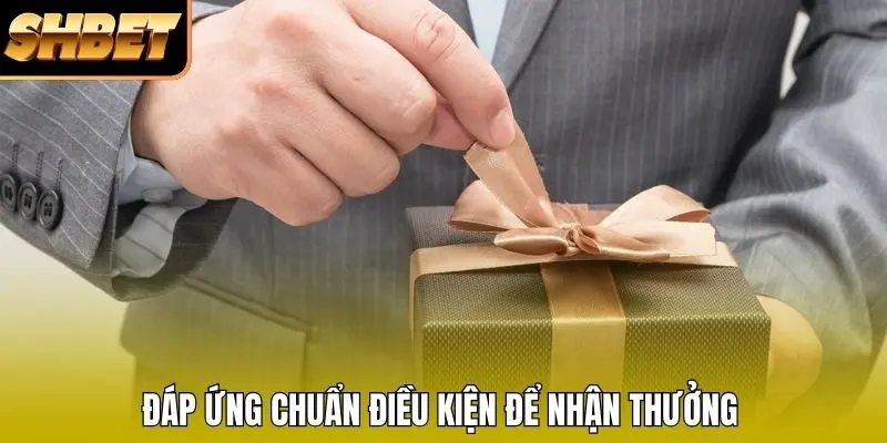 Đáp ứng chuẩn điều kiện để nhận thưởng