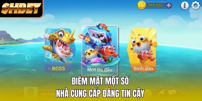 Điểm mặt một số nhà cung cấp đáng tin cậy