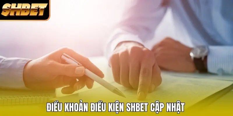 Điều khoản điều kiện SHBET cập nhật