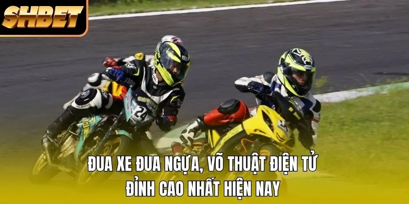 Đua xe đua ngựa, võ thuật điện tử đỉnh cao nhất hiện nay