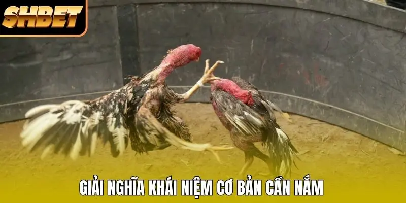 Giải nghĩa khái niệm cơ bản cần nắm