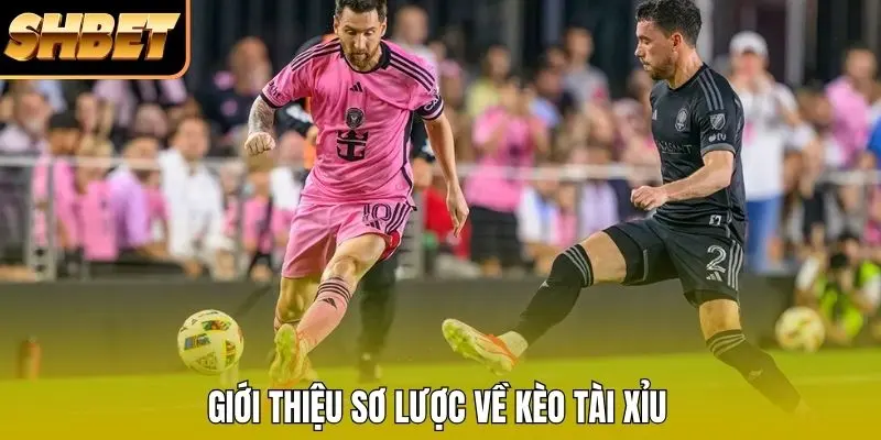 Giới thiệu về kèo tài xỉu