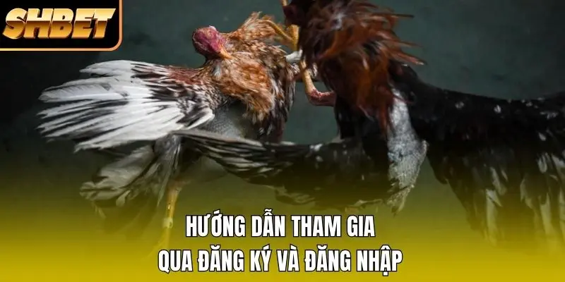 Hướng dẫn tham gia qua đăng ký và đăng nhập