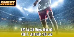 Kèo Tài Xỉu Trong Bóng Đá - Vốn Ít, Lợi Nhuận Siêu Cao