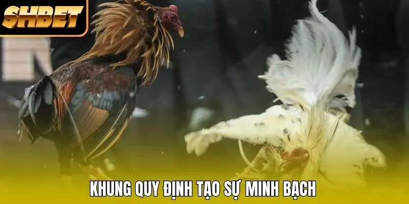 Khung quy định tạo sự minh bạch