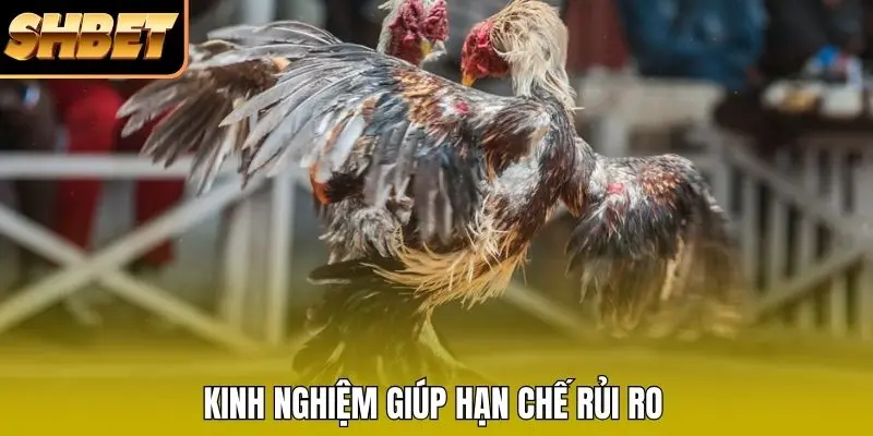 Kinh nghiệm giúp hạn chế rủi ro