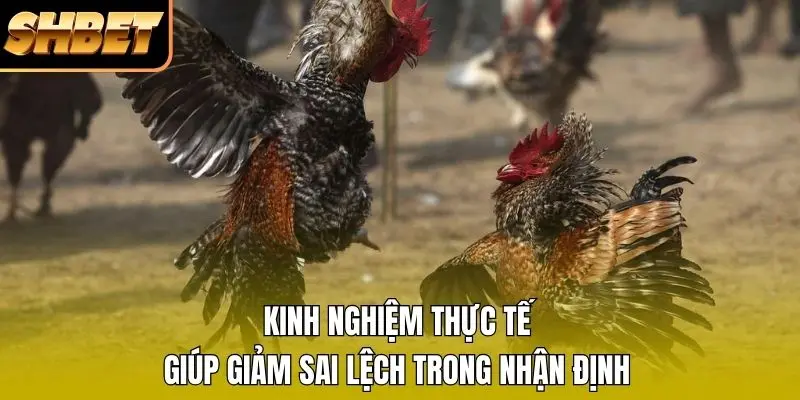 Kinh nghiệm thực tế giúp giảm sai lệch trong nhận định