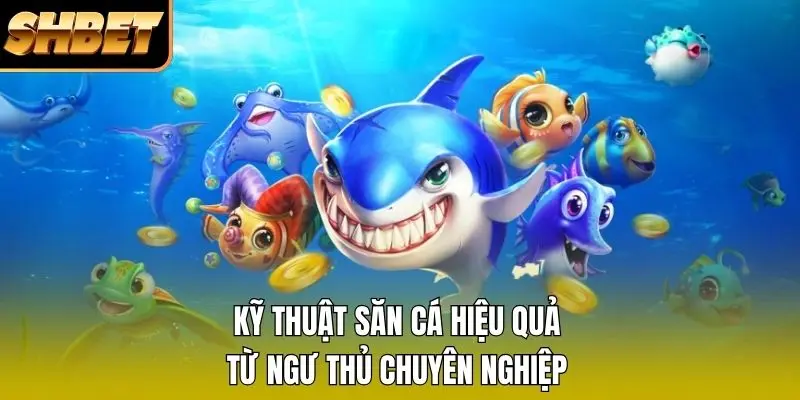 Kỹ thuật săn cá hiệu quả từ ngư thủ chuyên nghiệp