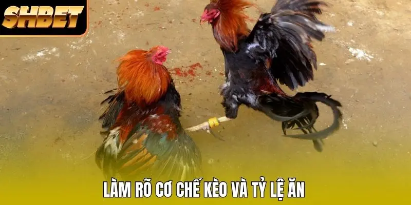Làm rõ cơ chế kèo và tỷ lệ ăn