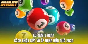 Lô Câm 3 Ngày - Cách Nhận Biết Và Áp Dụng Hiệu Quả 2026