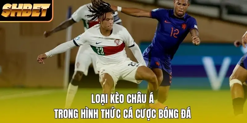 Loại kèo châu Á trong hình thức cá cược bóng đá