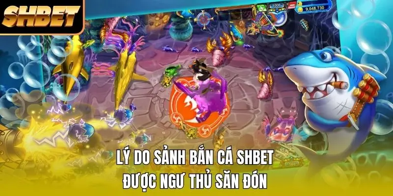Lý do sảnh bắn cá SHBET được ngư thủ săn đón