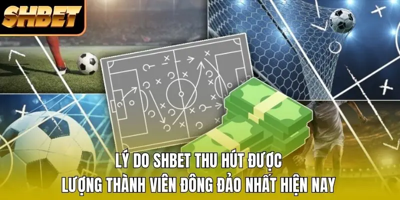 Lý do SHBET thu hút được lượng thành viên đông đảo nhất hiện nay