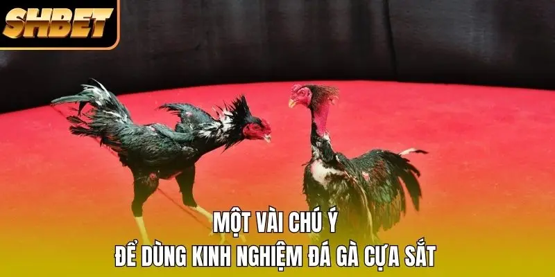 Một vài chú ý để dùng kinh nghiệm đá gà cựa sắt