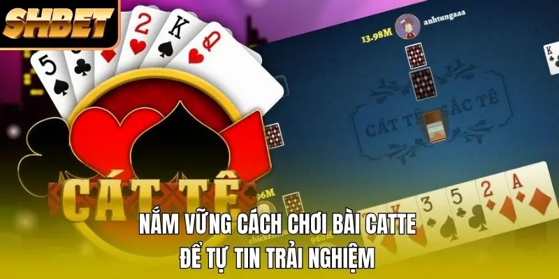 Nắm vững cách chơi bài catte để tự tin trải nghiệm