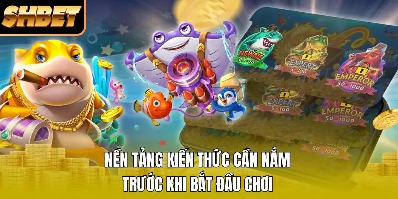 Nền tảng kiến thức cần nắm trước khi bắt đầu chơi