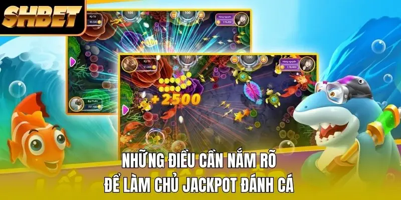 Những điều cần nắm rõ để làm chủ Jackpot đánh cá