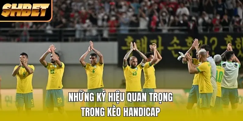 Những ký hiệu quan trọng trong kèo Handicap