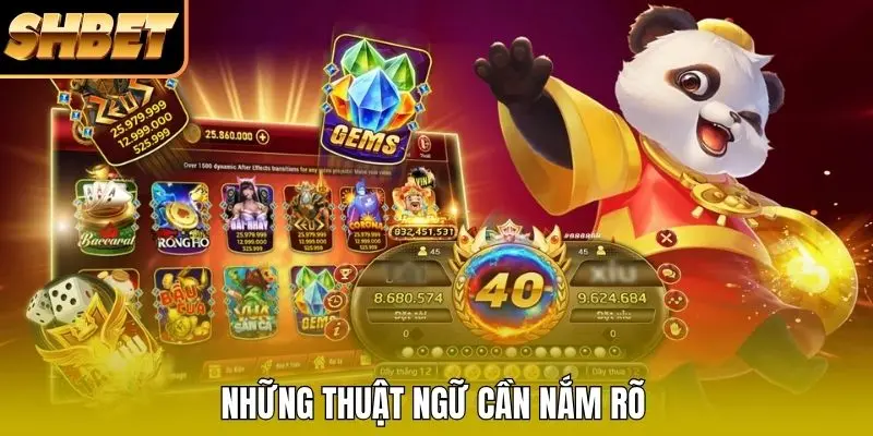 Những thuật ngữ cần nắm rõ
