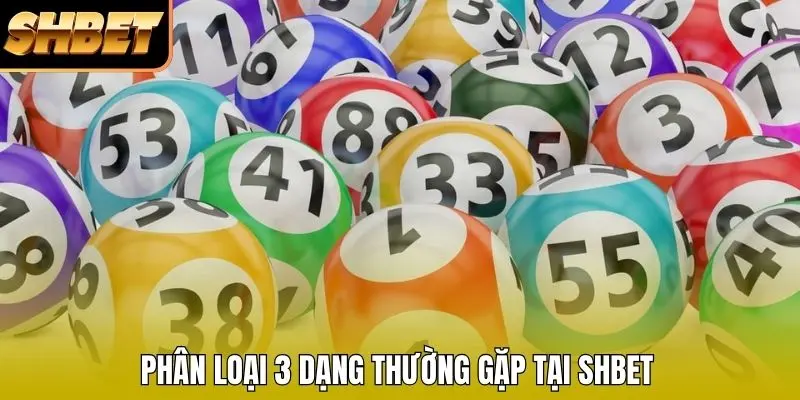 Phân loại 3 dạng thường gặp tại SHBET