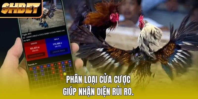 Phân loại cửa cược giúp nhận diện rủi ro.