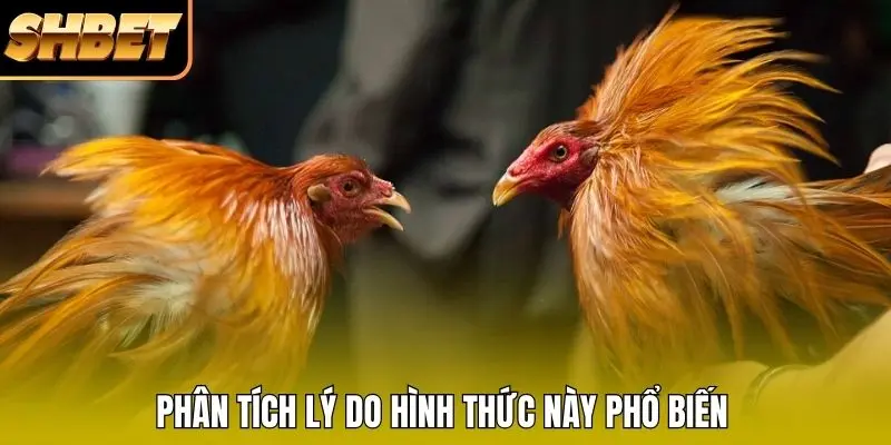 Phân tích lý do hình thức này phổ biến