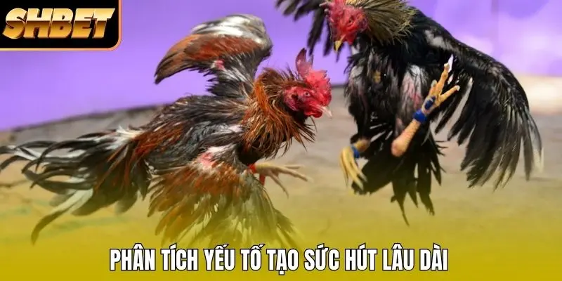 Phân tích yếu tố tạo sức hút lâu dài