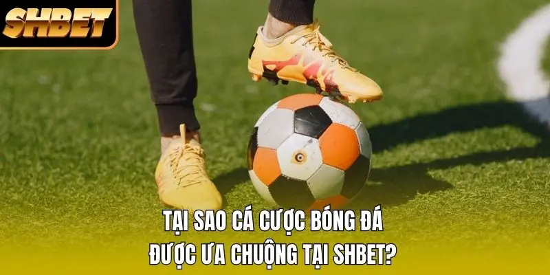 Tại sao cá cược bóng đá được ưa chuộng tại SHBET?