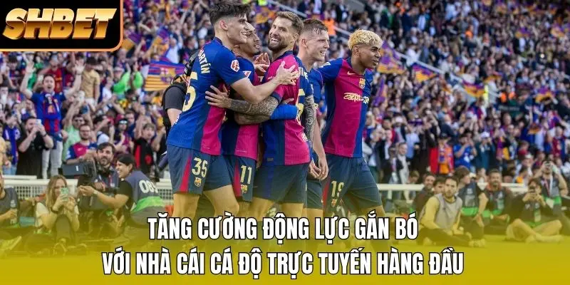 Tăng cường động lực gắn bó với nhà cái cá độ trực tuyến hàng đầu