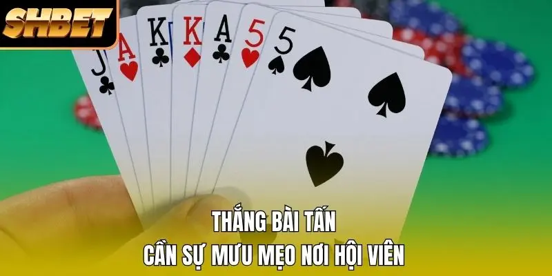 Thắng bài Tấn cần sự mưu mẹo nơi hội viên