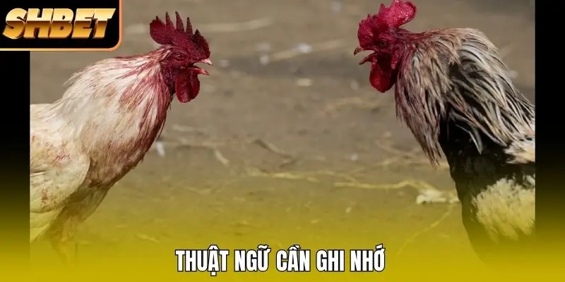 Thuật ngữ cần ghi nhớ