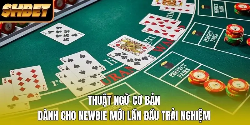 Thuật ngữ cơ bản dành cho newbie mới lần đầu trải nghiệm