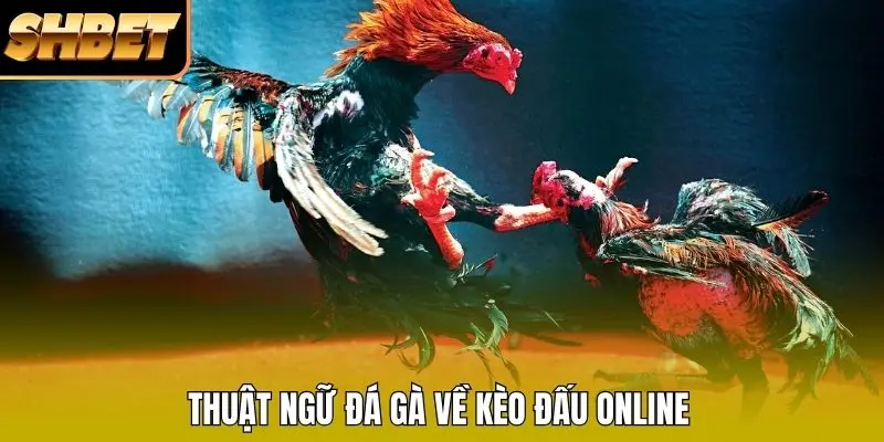 Thuật ngữ đá gà về kèo đấu online