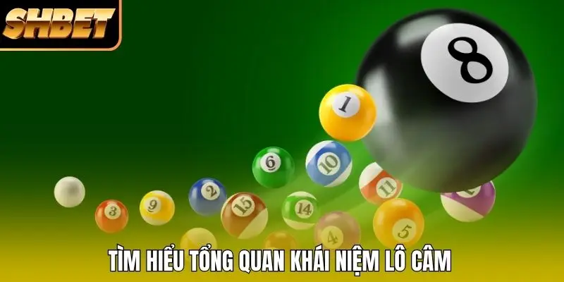 Tìm hiểu tổng quan khái niệm lô câm 