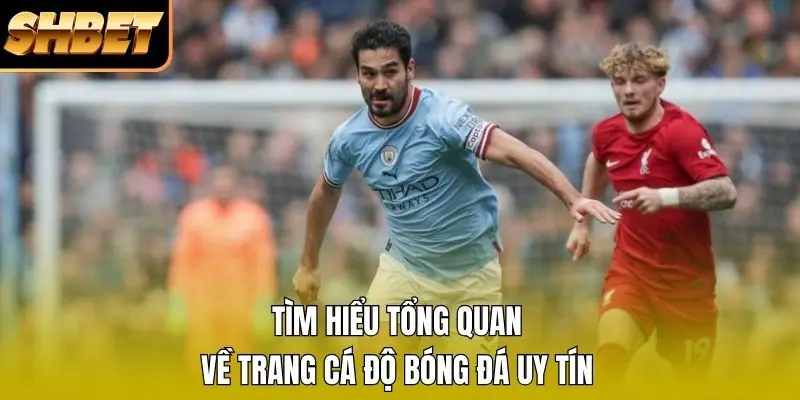 Tìm hiểu tổng quan về trang cá độ bóng đá uy tín