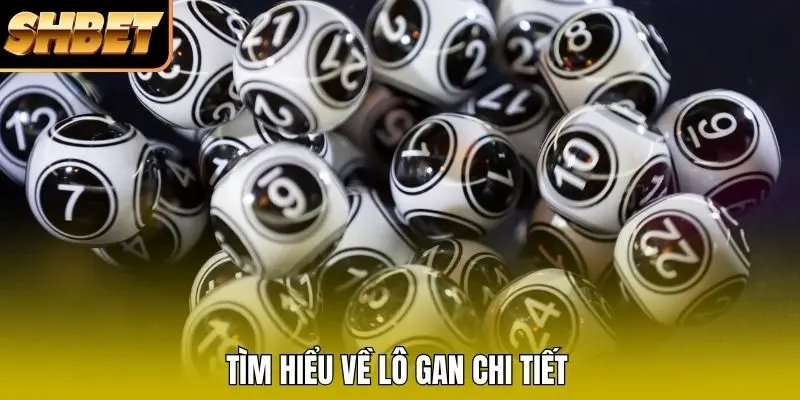 Tìm hiểu về lô gan chi tiết 