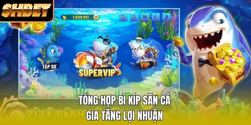 Tổng hợp bí kíp săn cá gia tăng lợi nhuận