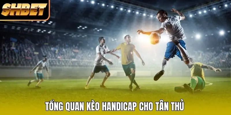 Tổng quan kèo Handicap cho tân thủ